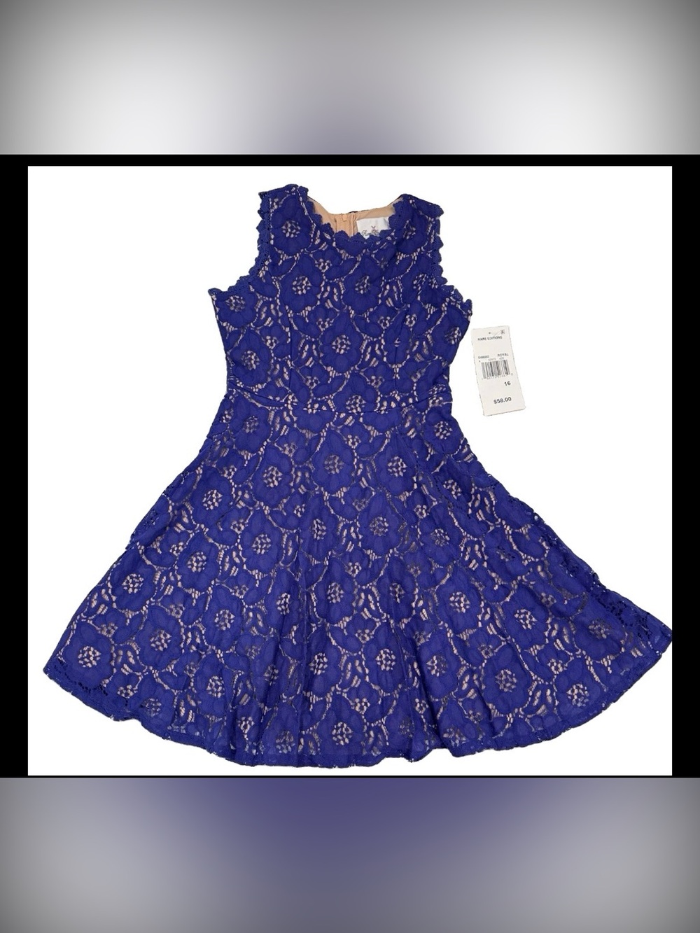 the Rare Editions Girls Big Girls Two-Tone Lace Fit & Flare Dress In Royal Sz 16